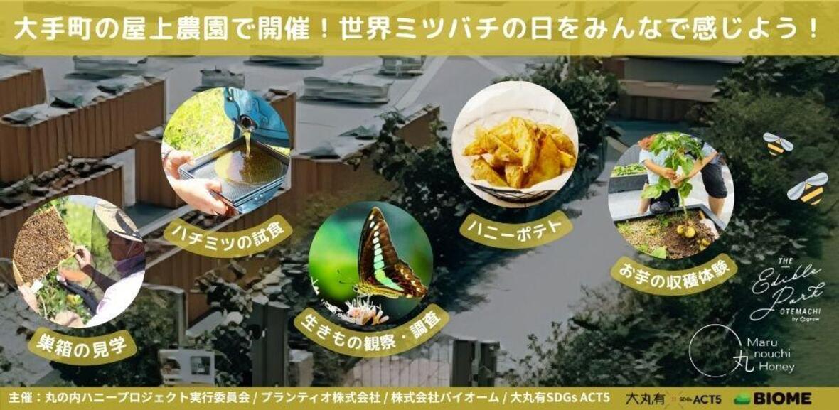 大手町の屋上農園で開催！世界ミツバチの日をみんなで感じよう
